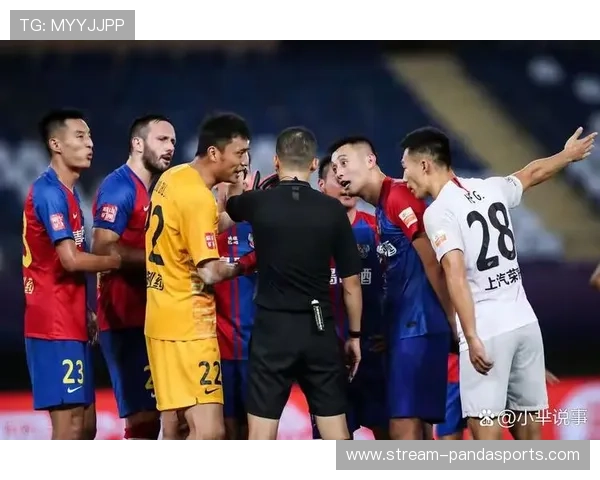 从足球场上看世界 揭秘球星第一视角的独特体验与挑战