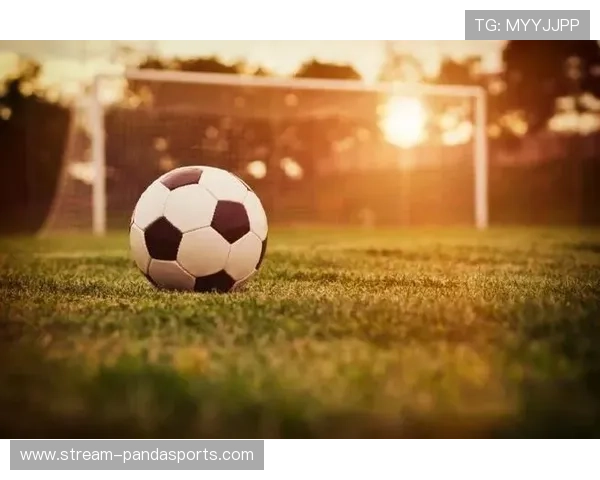 绿茵场上巨星闪耀激情时刻展现足球运动无限魅力